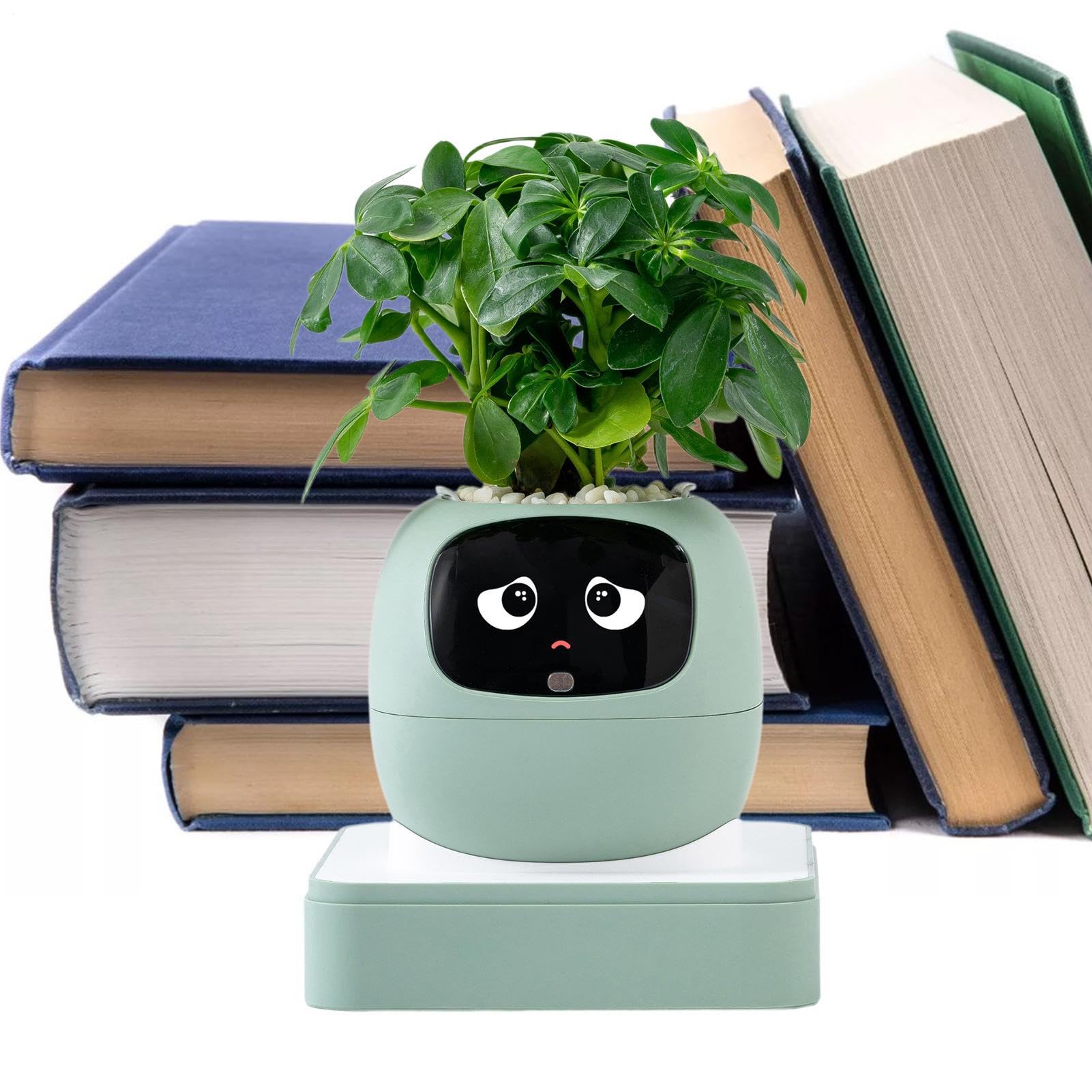 Maceta de escritorio, maceta de expresión divertida, herramienta interactiva, maceta decorativa única, accesorio de jardín interior con estilo moderno, regalo de plantas para oficina, sala de estar