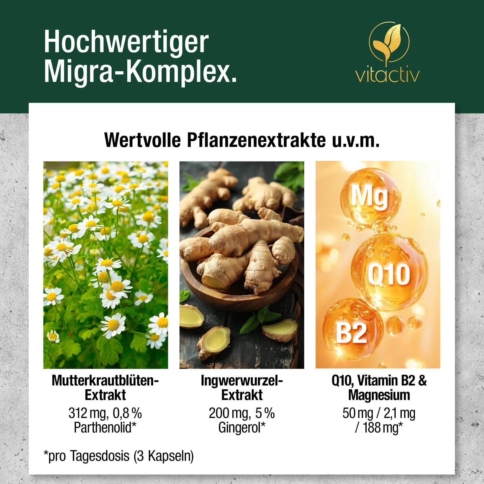 VITACTIV Migra Komplex - 90 Mutterkraut Kapseln für Kopf Balance - Plus Ingwer Extrakt, Magnesium, Coenzym Q10, Vitamin B2 - Produziert & Laborgeprüft in Deutschland - Vegan, Ohne Künstliche Zusätze