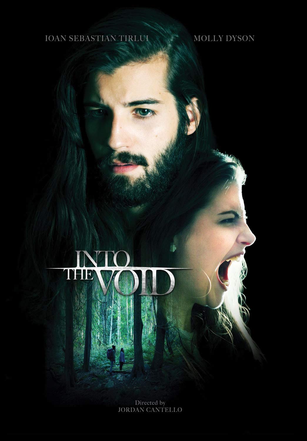Evita el streaming con Into The Void DVD edición norteamericana coleccionable