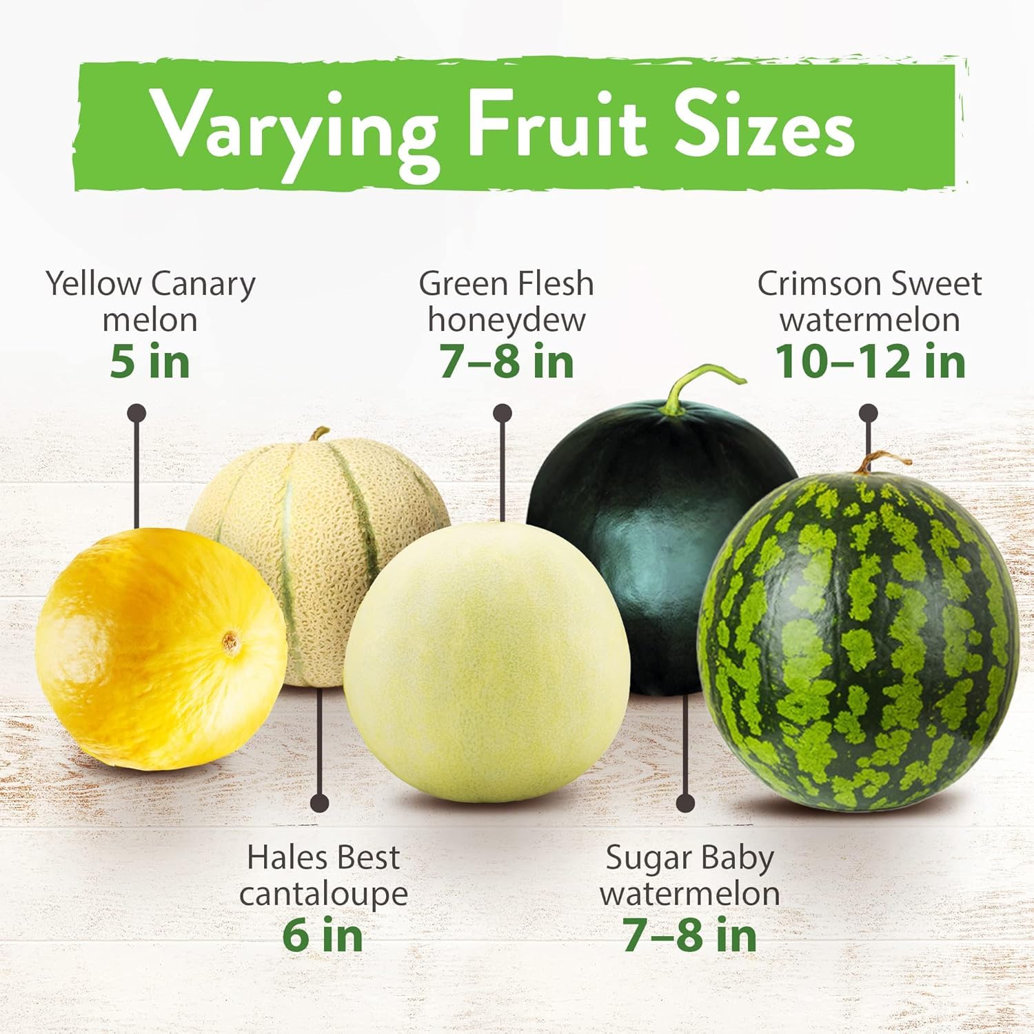 Paquete variado de semillas de melón, 5 semillas de frutas tradicionales: sandía, melón, melón, azúcar bebé y melón, alta germinación para plantar el jardín en interiores 3