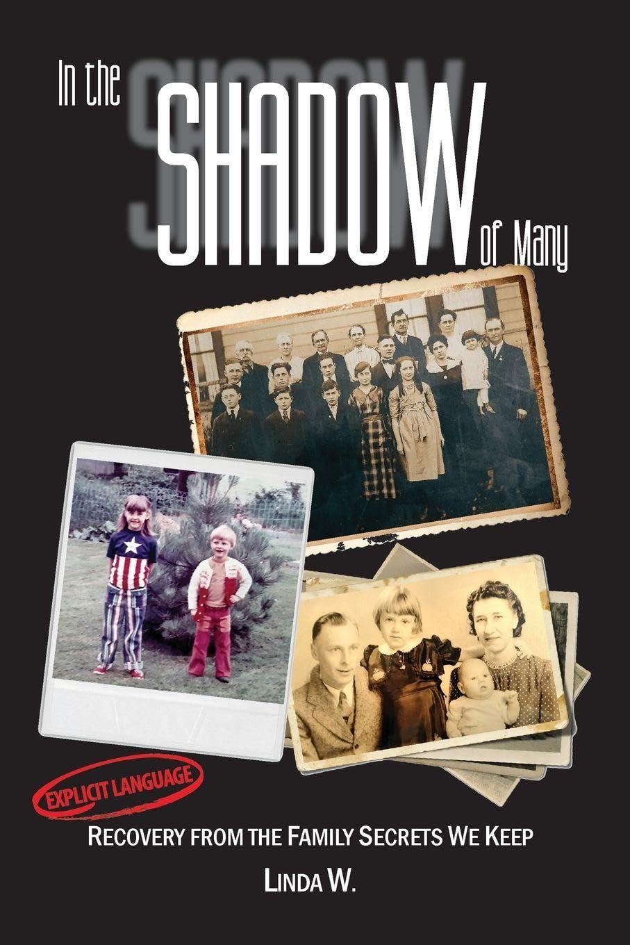 In the Shadow of Many: Recovery from the Family Secrets We Keep