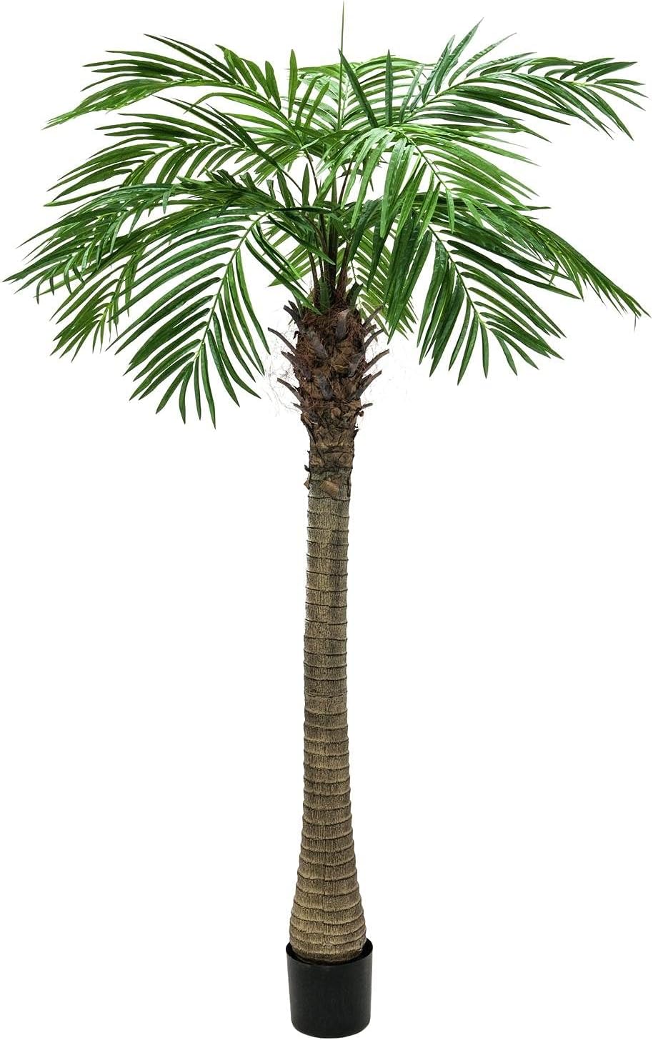 Europalms 82510720 Phoenix Palm Tree Luxor, 150 cm, Multicoloured, One