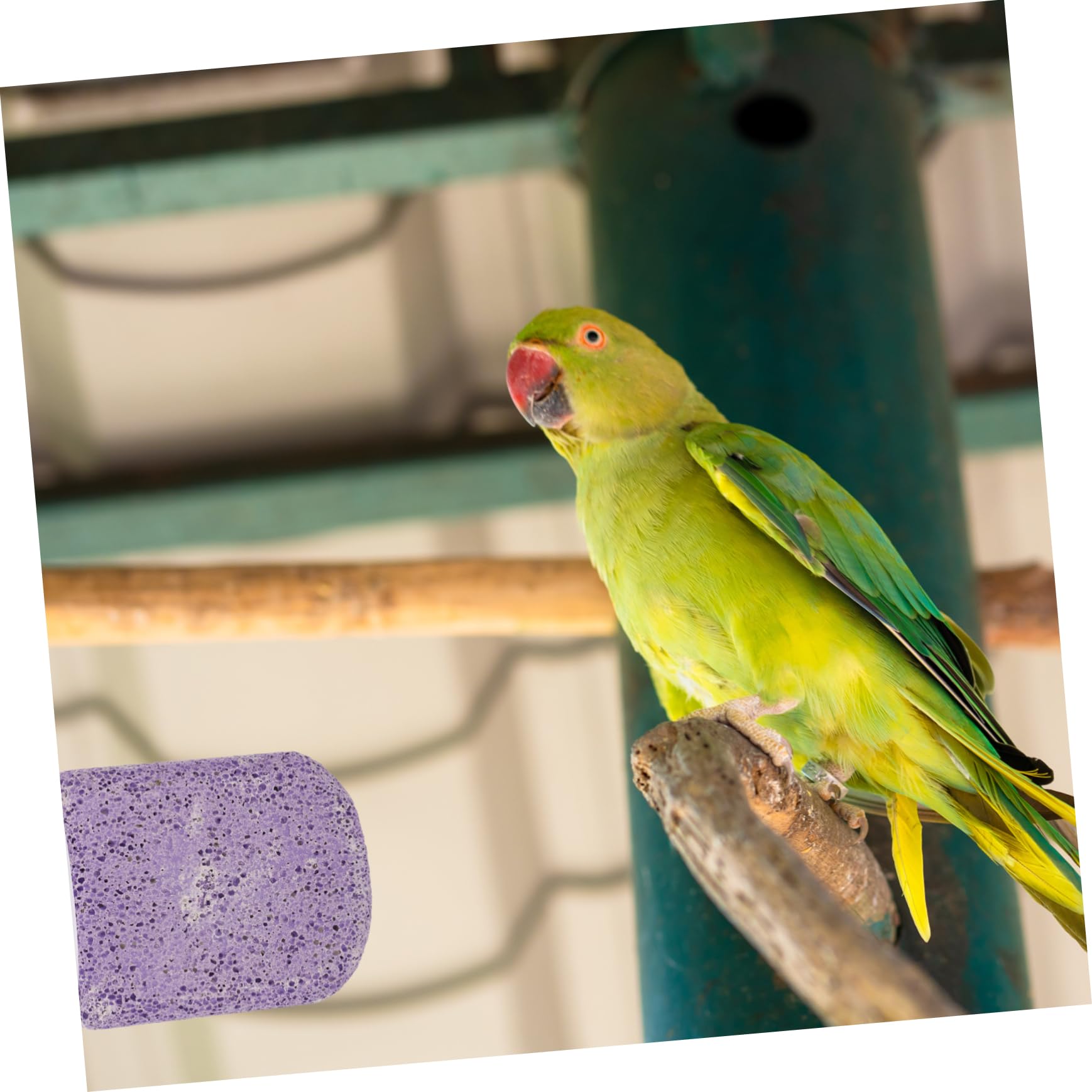 4piezas Percha para Aves Superficie De Esmerilado Accesorio De Jaula para Periquitos y Cockatiels Soporte para Mantenimiento De Garras y Descanso Jaulas De Aves