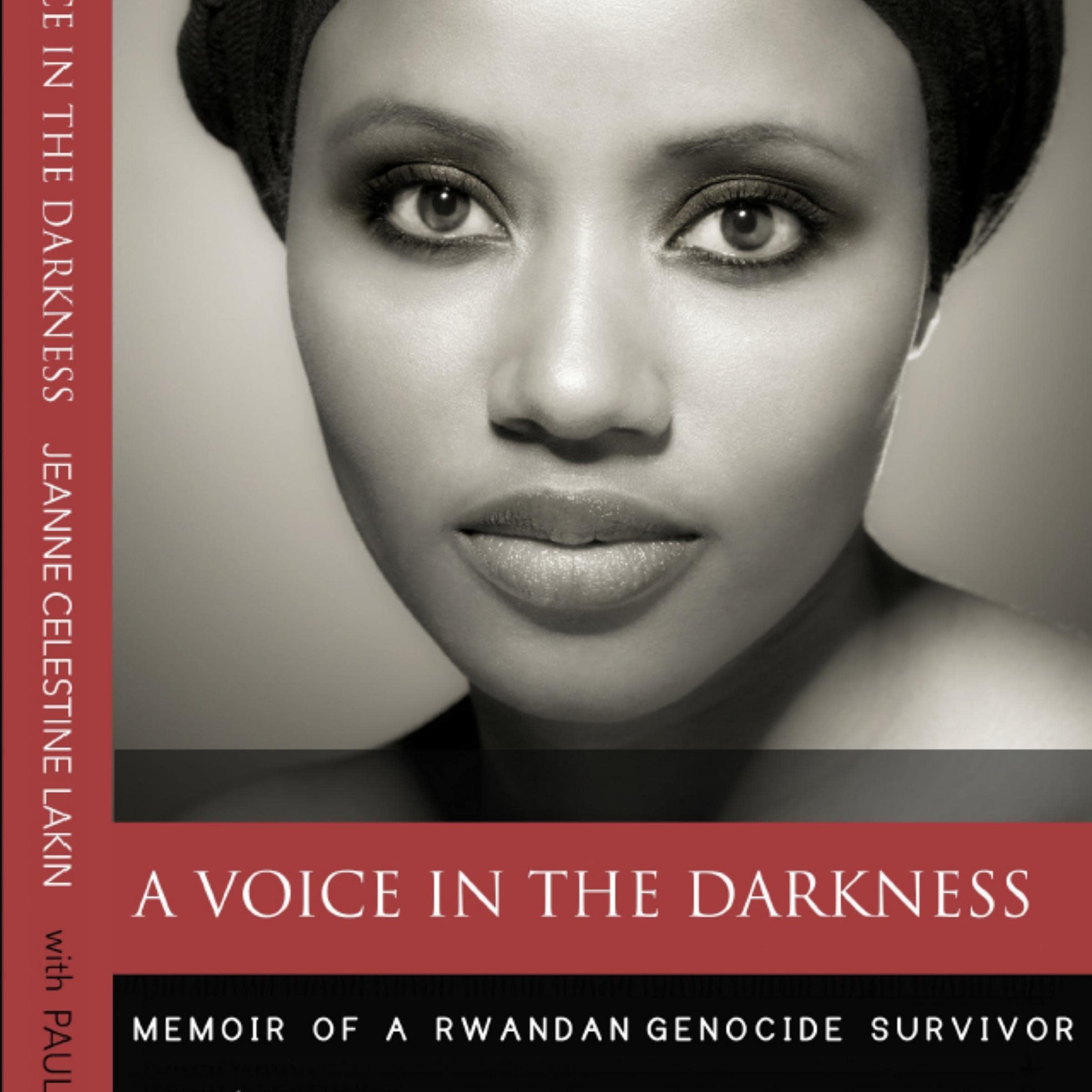Cover art for A Voice in the Darkness