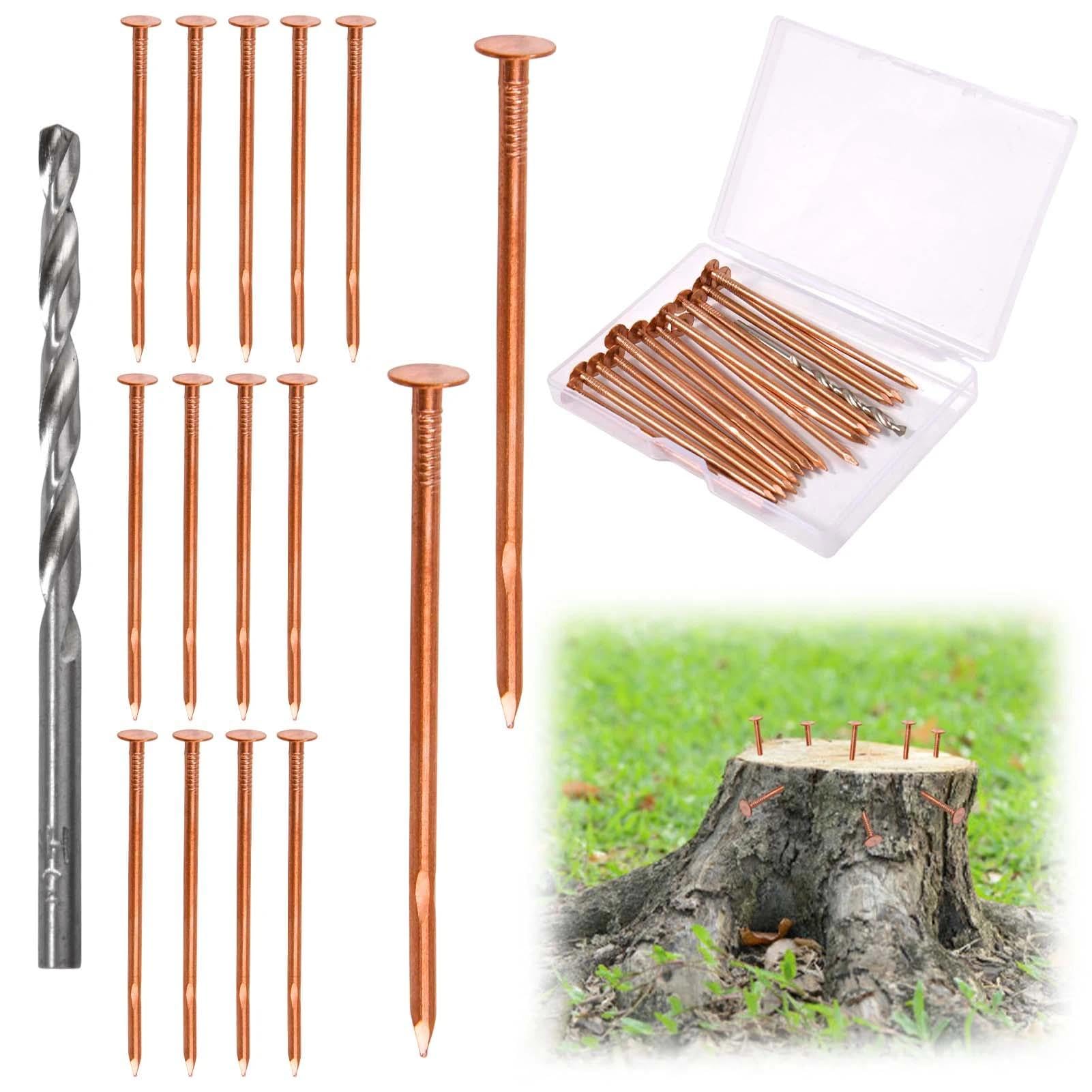 LEONTOOL 15 Pcs Copper Nails for Killing Trees Stumps & Roots, 3.1" Pure Copper Nails Bulk with HSS Drill Bit and Storage Box, Heavy-Duty Stump Removal Spikes Hardware Nail for Landscaping & Gardening