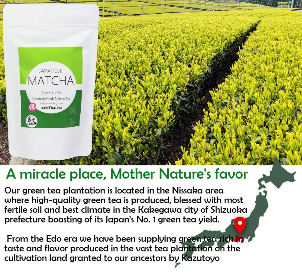 Otsuka Green Tea Co - Ceremonial Matcha Powder - First Harvest Ceremonial Grade Matcha Powder - Made in Shizuoka Prefecture Kakegawa City Japan (Large 100g)