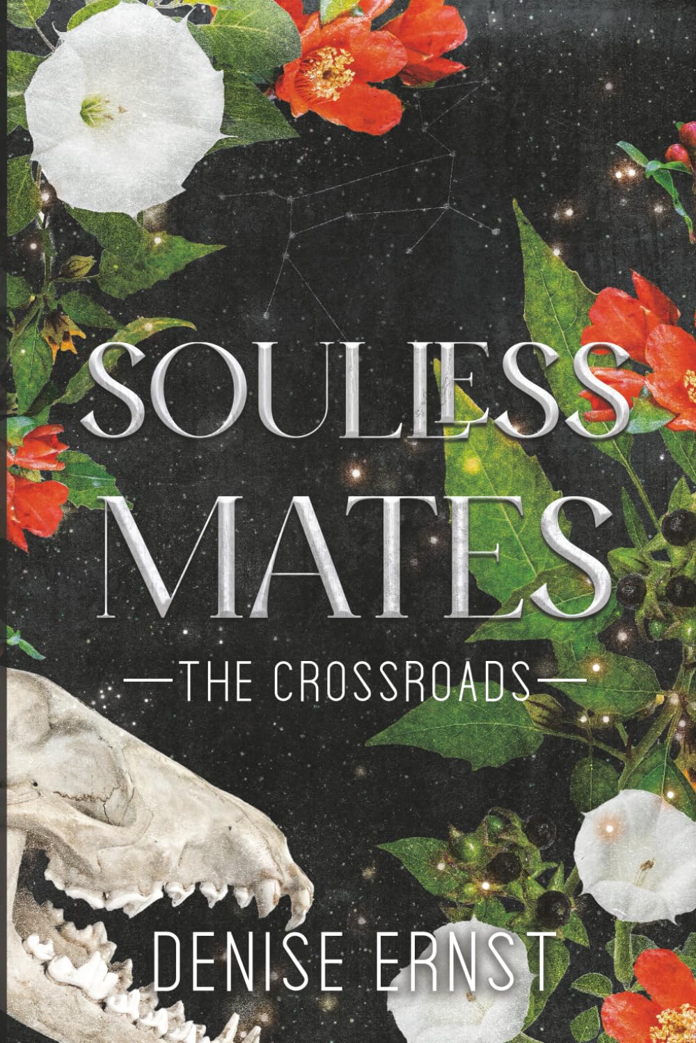 Soulless Mates: The Crossroads (The Heartless Souls)