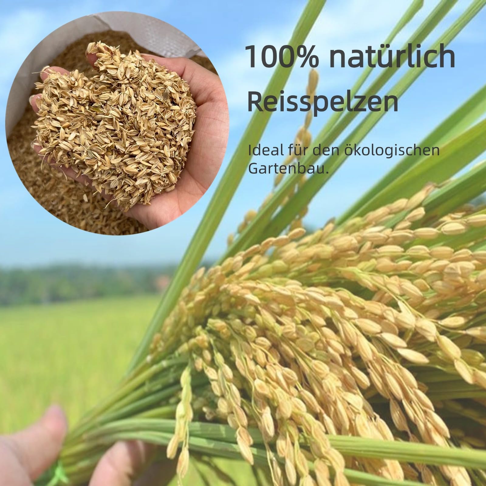 YIHAKIDS Reisspelzen 60L, Natürlich Gesunde Reishülsen für Pflanzen, Gartenbau, Geflügel, Gewächshäuser丨Organisch Einstreu-Zusatz für Wachteln, Hühner, Hamster丨Reisschalen für Blumen, Pflanzendünger