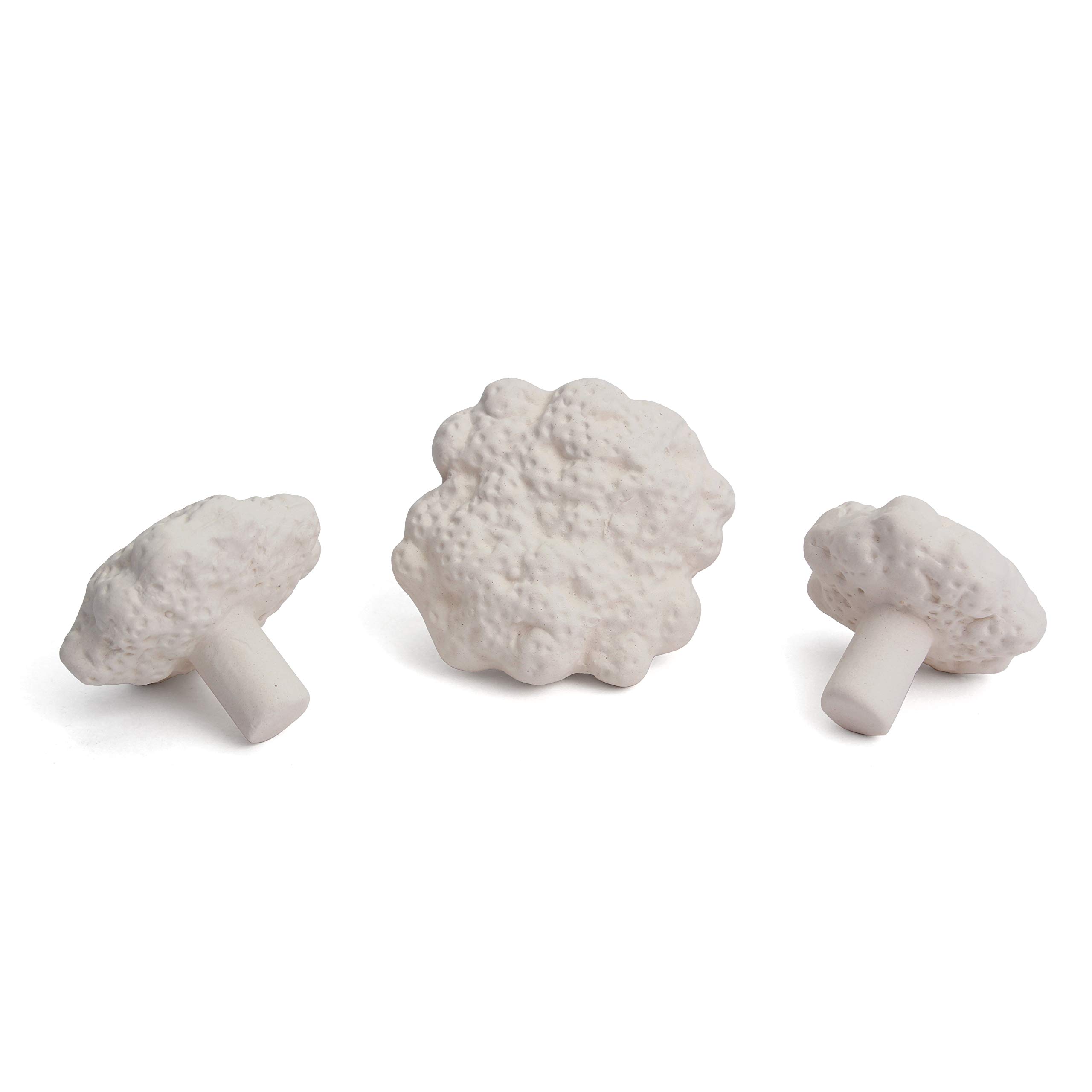 True Atlantic Textured Reef Plugs for Frag Rock Station - Mushroom Fragging Plugs for Coralline Algae Growth