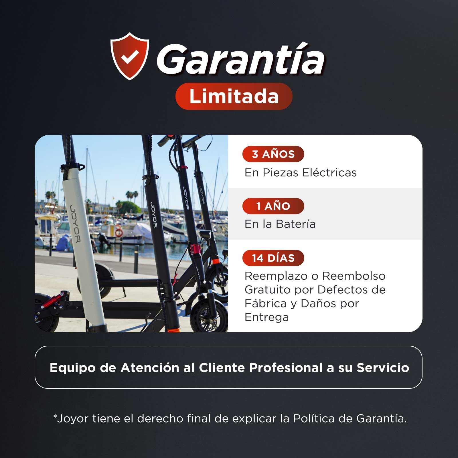 JOYOR C10 DGT Patinete Electrico Adultos - Motor de 500W Autonomía 35km Batería Extraíble Neumáticos de 10" Doble Suspensión - Scooter Homologado DGT