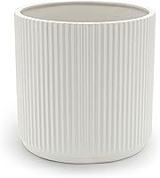 Amazon Basics 8-Inch White Fluted Ceramic Round Planter - Modern Indoor Outdoor Pot for Succulents Herbs Flowers