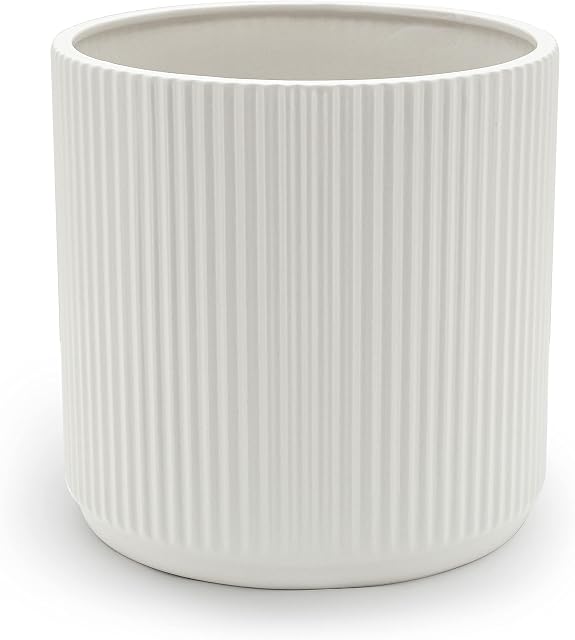 Amazon Basics Fluted Ceramic House Planter, 20.3 cm, White