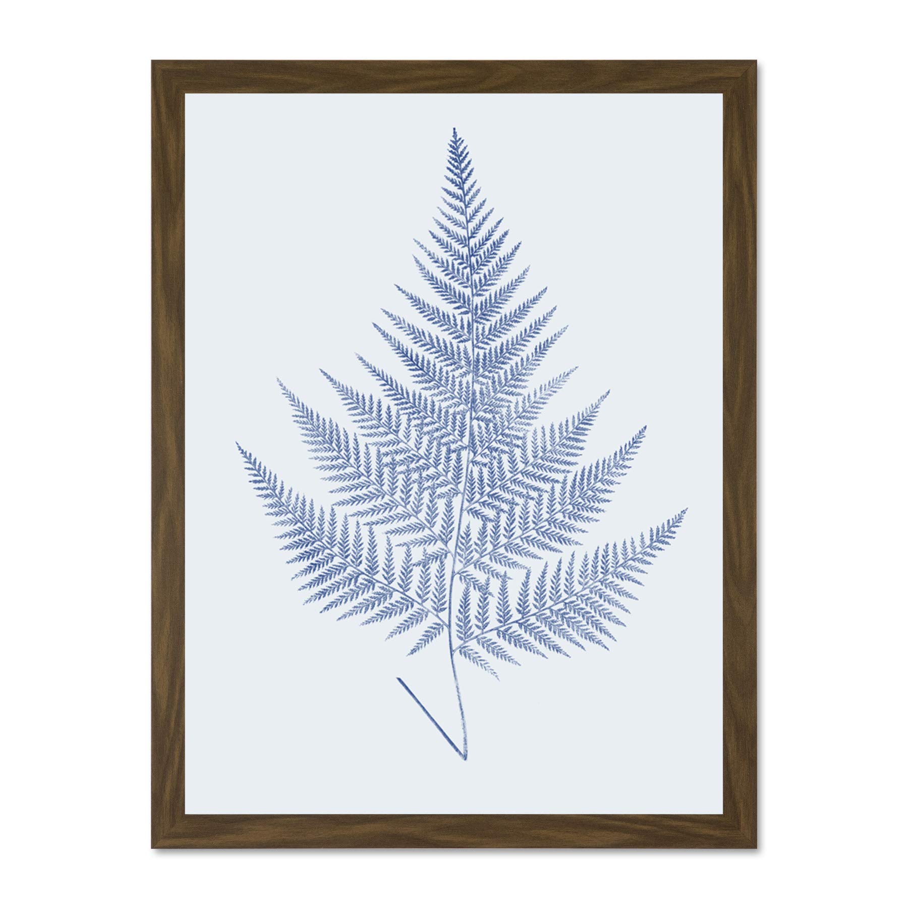 Wee Blue Coo Botanics Cobalt Fern Eppusum Large Brown Framed Art Print Wall Poster 18x24 inch