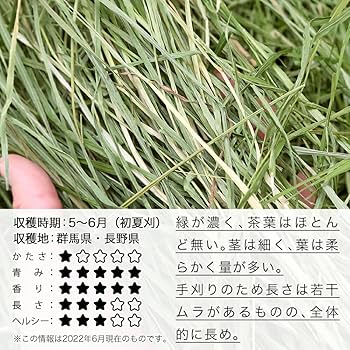 Amazon | 令和7年産 国産 やみつきチモシー 20g お試し