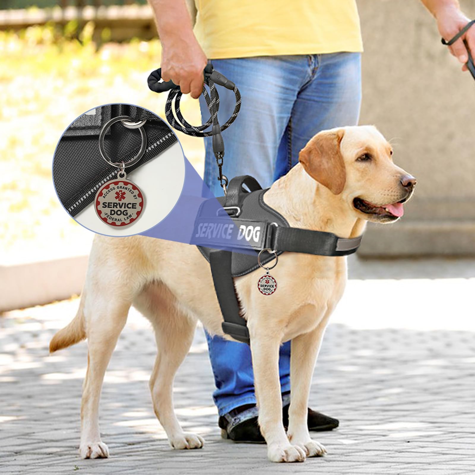 VOOPET Service Dog Vest Harness+ ID Tag and Leash Set+6 Patches,No Pull&Adjustable Reflective Dog Harness for Training,Suitable for Small Medium and Large Dogs. - image 7