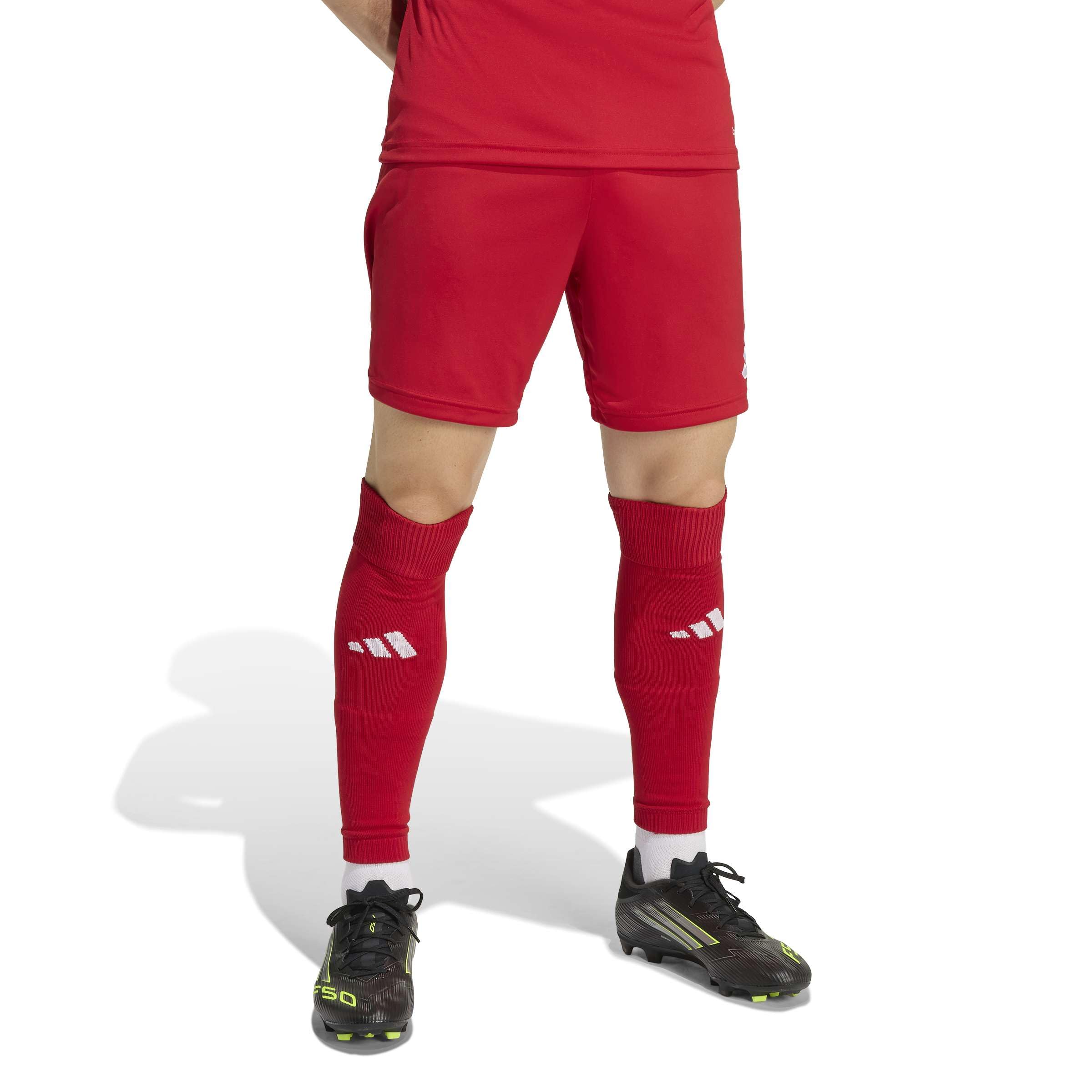 adidas Men's Entrada26 Shorts, Team Power red 2/White, XL