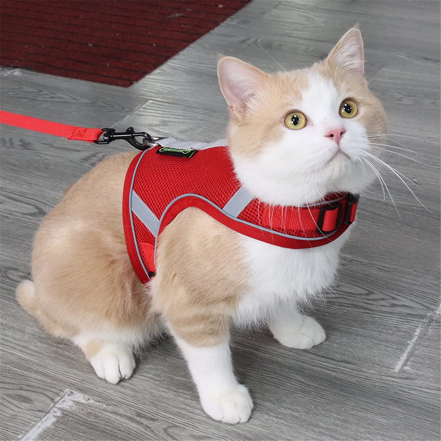 Amazon | 猫 犬 猫用 ハーネス 胴輪 猫具 ねこ ネコ 子猫 子犬 小型犬