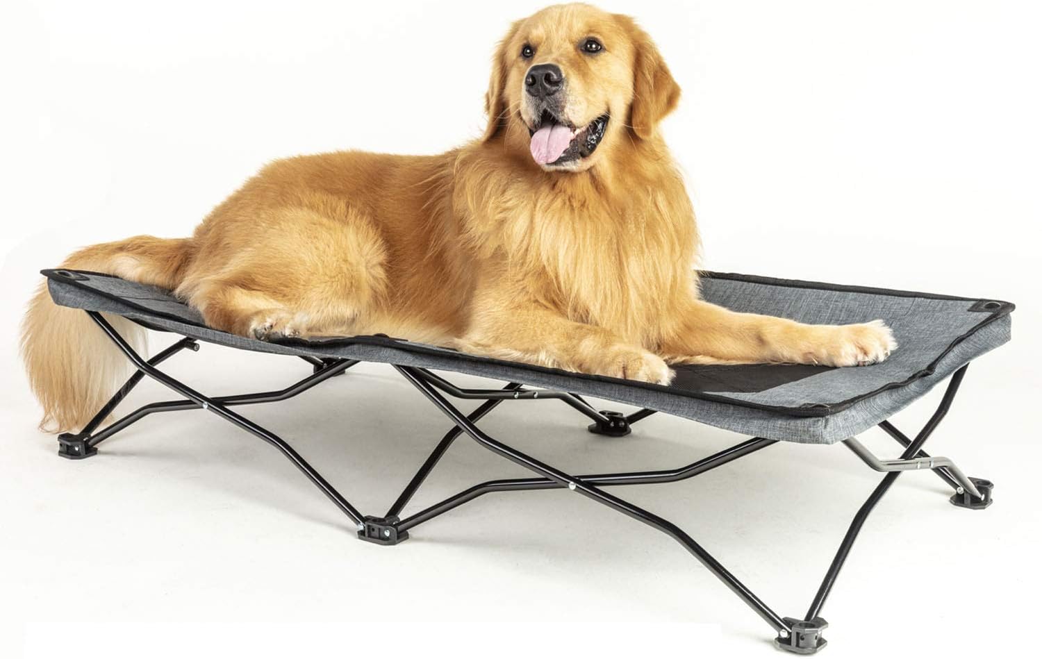 maxpama Folding Outdoor Raised Elevated Cooling Dog Cot