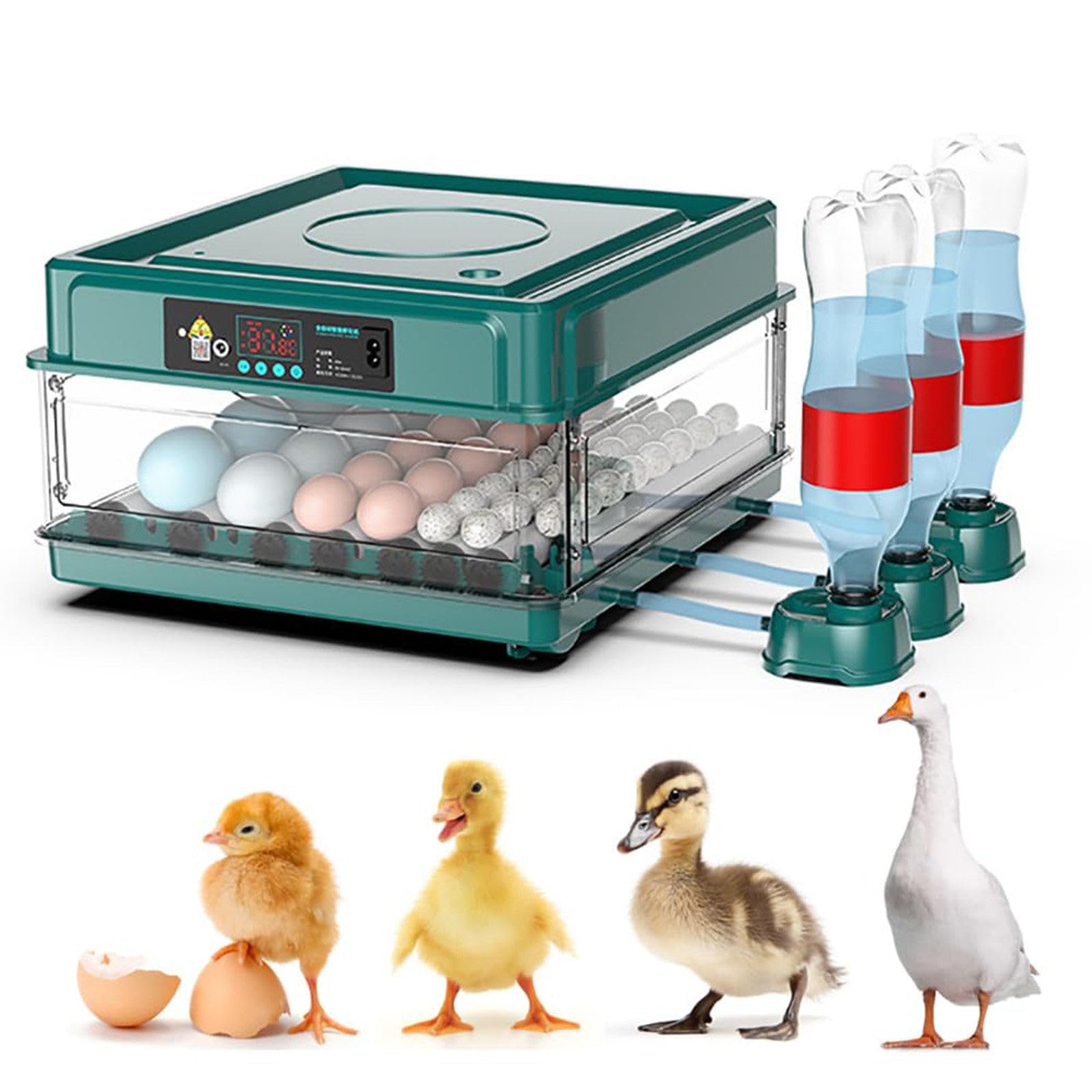 Wasd3Pods Professional Egg Incubator - Automatic Turner + Temperature/Humidity Control, Digital Automatic Brooder Chicken, Poultry Hatcher Machine, For Quail/Duck/Chicken/Goose/Bird 38Eggs