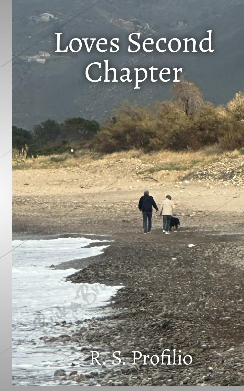Loves Second Chapter