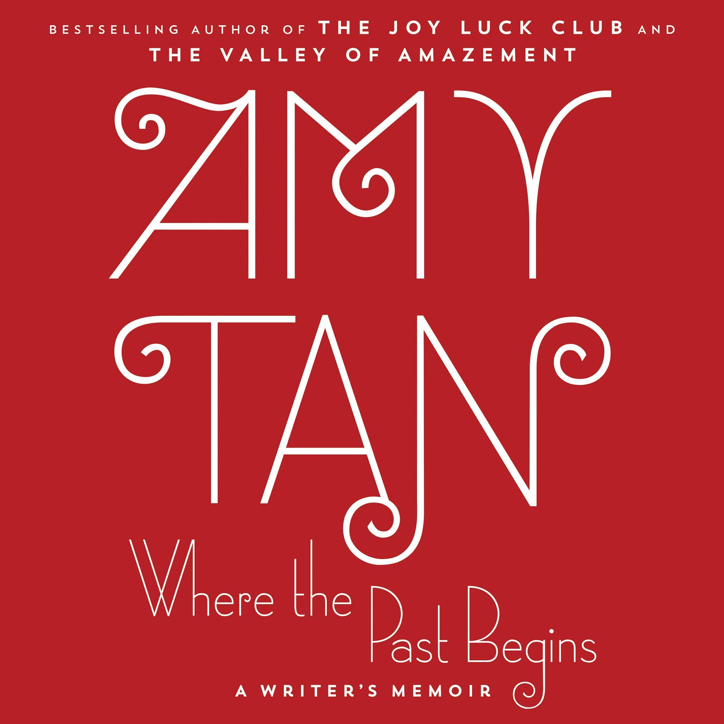 Cover art for Where the Past Begins
