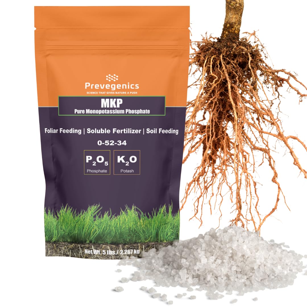 Monopotassium Phoshpate (MKP) Fertilizer | Highly Water Soluble | 0-52-34 (1 Pound)