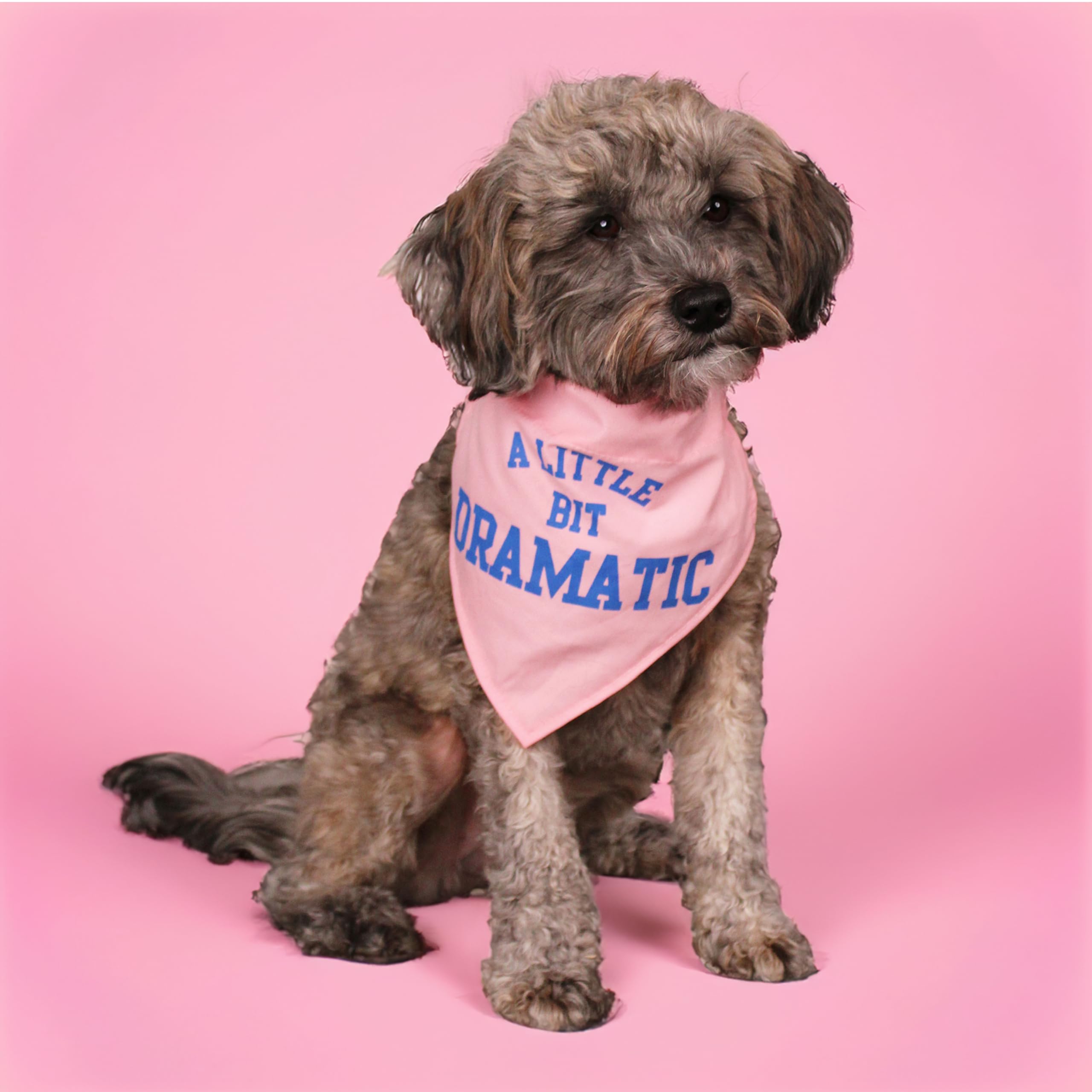 Amazon.co.jp: design LAB, Inc.公式商品 - Mean Girls Cute