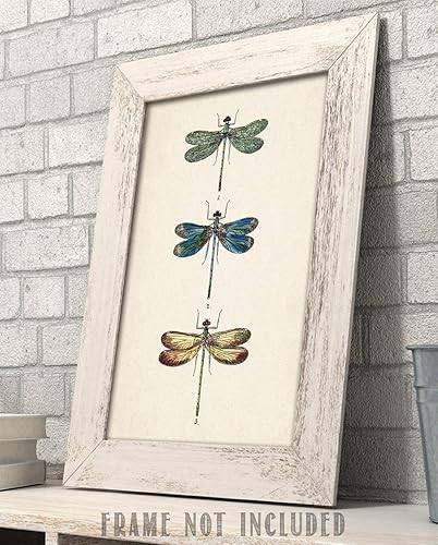 Miniatura 3 de Dragonflies Art Picture - 11x14 Unframed Art Print - Makes a Great Home Decor Under $15