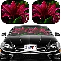 Vista 1 de MSD Parasol para parabrisas de automóvil, ajuste universal, paquete de 2, bloquea el deslumbramiento, los rayos UV y el calor, protege