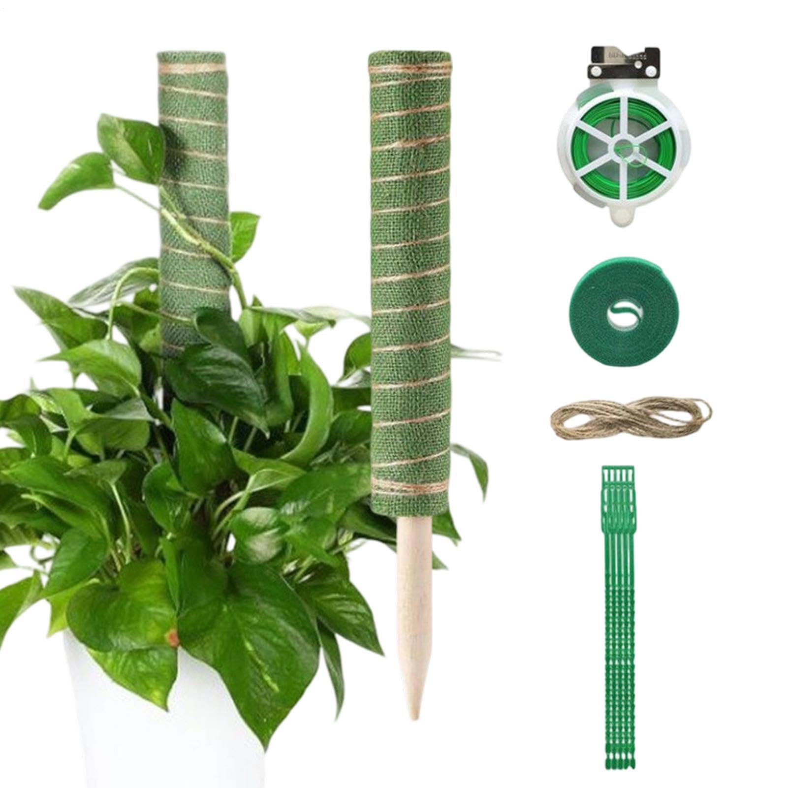 Tuteur de mousse de jardinage pour créer un mur végétal sur votre patio et balcon