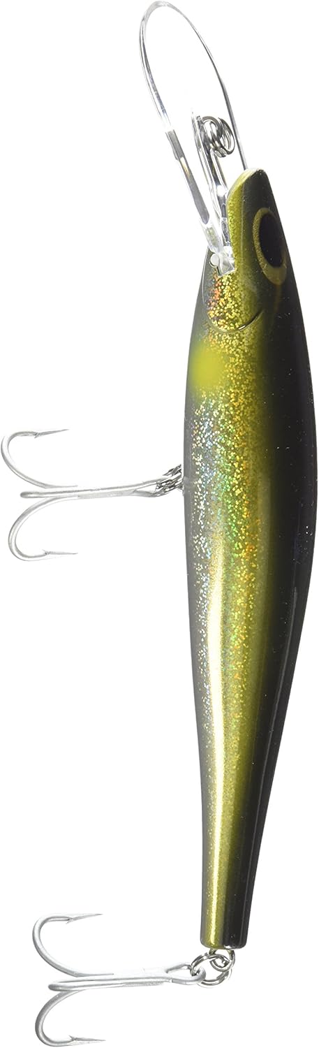 Williamson Speed Pro Deep 160/180 Trolling Lure