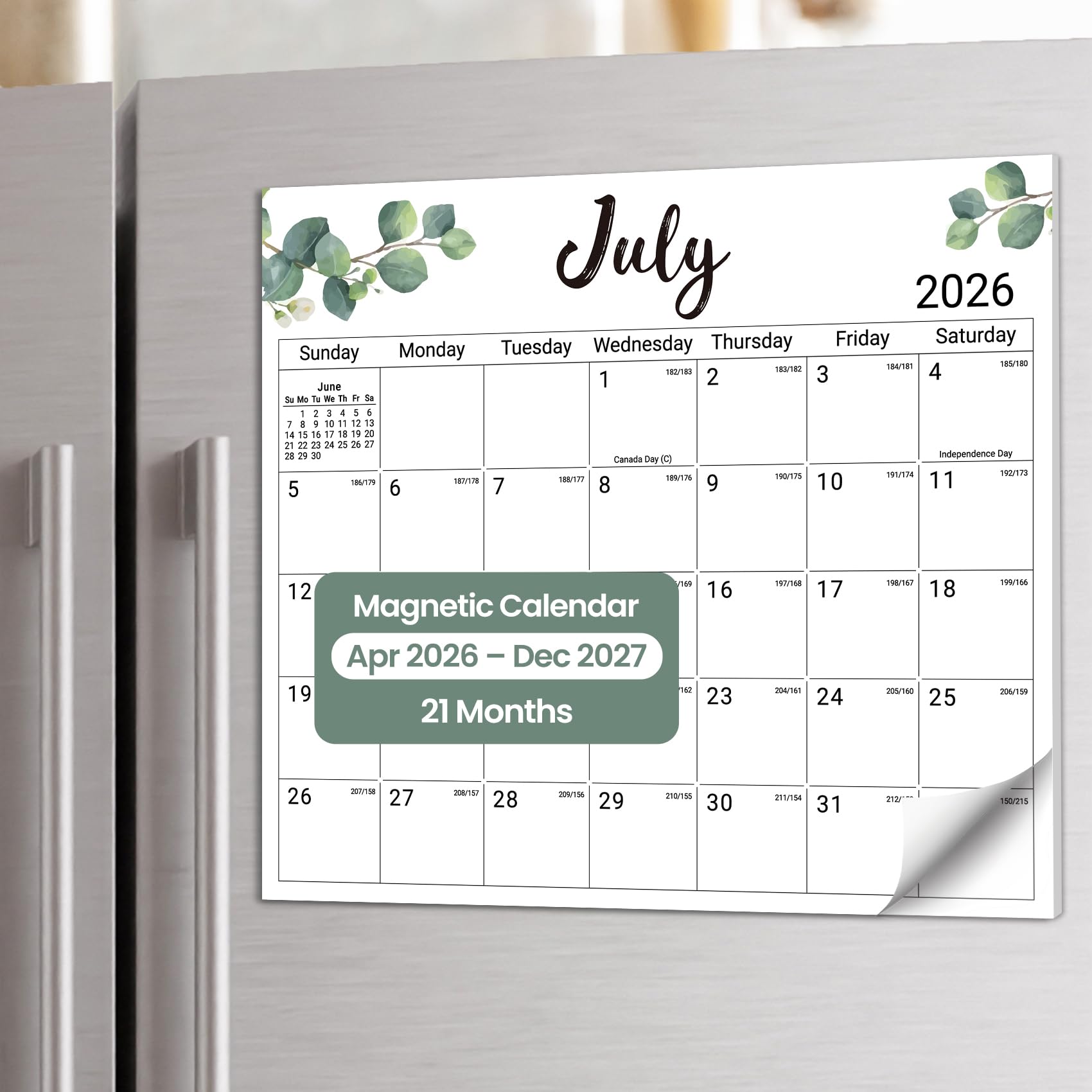 Taja 2026-2027 Magnetic Refrigerator Calendar