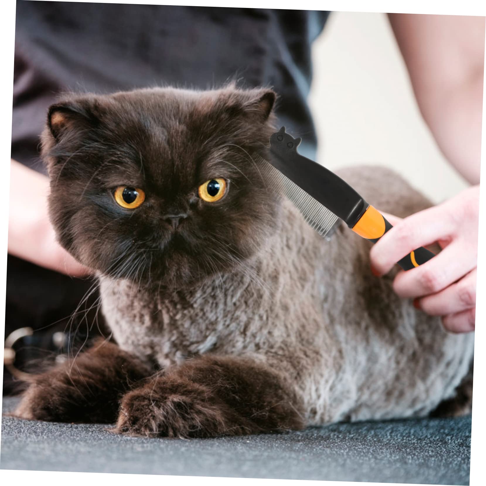 INOOMP 3 Pièces peigne pour brosse à poils de chat brosse de toilettage pour peigne a puce anti- s outil multifonction de toilettage domestique Ménage
