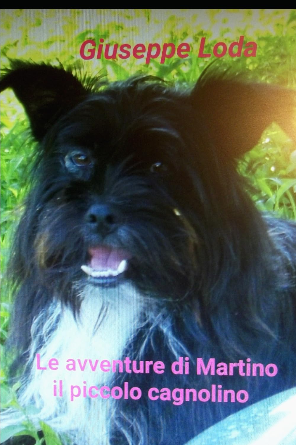 Le avventure di Martino il piccolo cagnolino (I racconti del nonno)