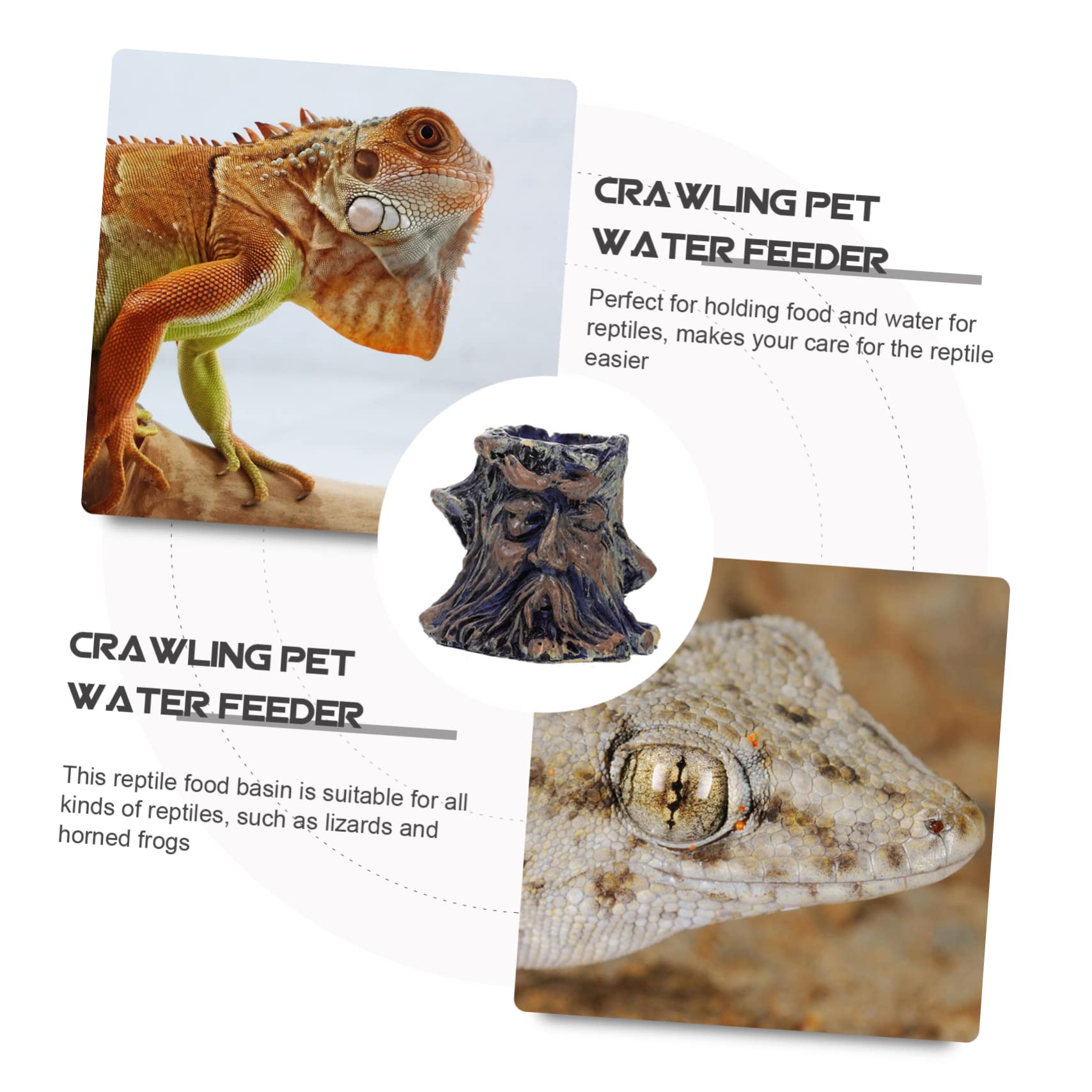 Cuenco de agua para reptiles Cuenco for alimentación de reptiles, 8 piezas, cuenco for reptiles, cuenco for baño de pájaros for mascotas, comedero for reptiles, plato de alimentación for reptiles, cue