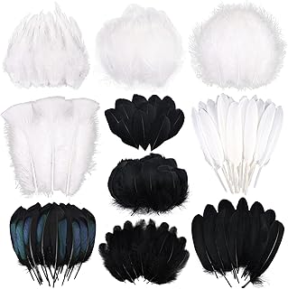 FeelfunFeather 300 pcs Small Feathers - 10 Style Mixed Spotted Decorativ...