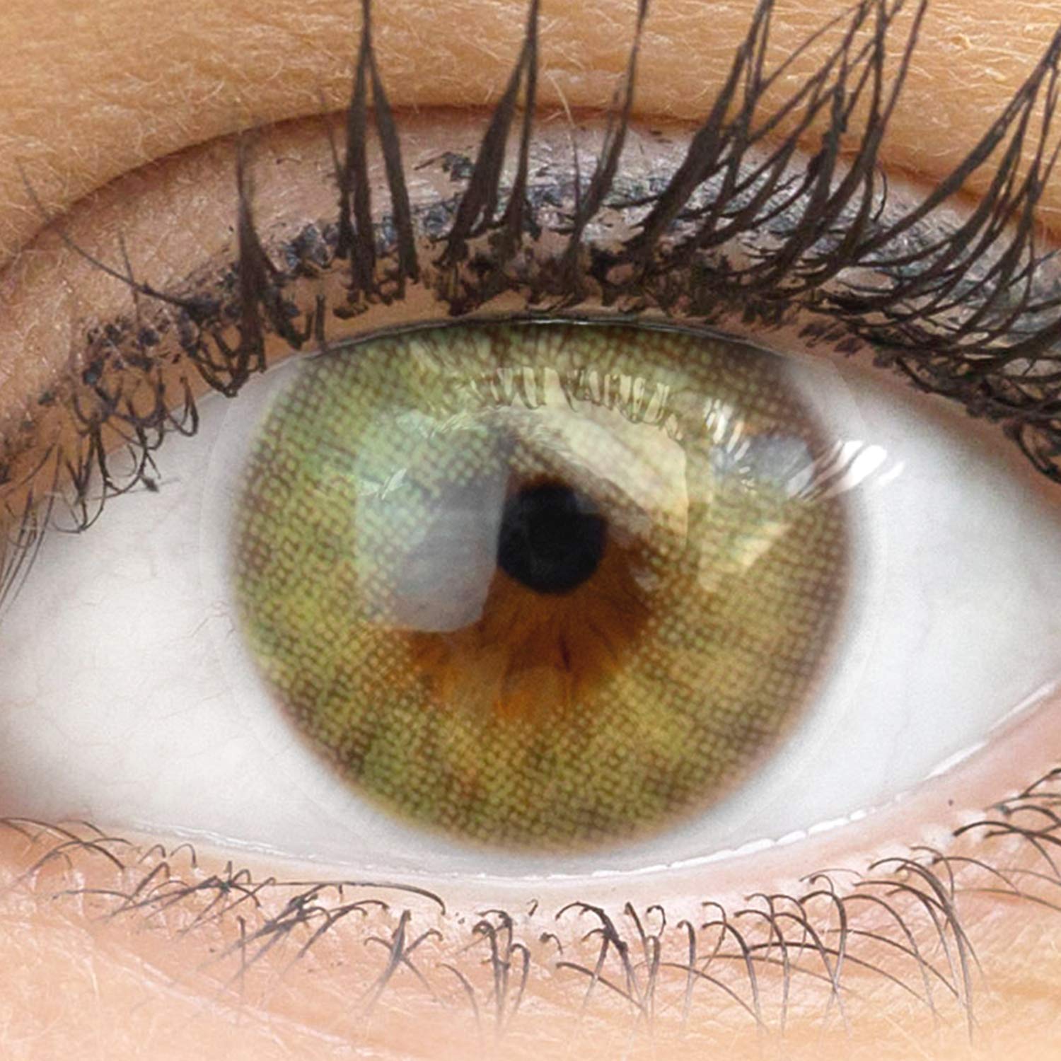 GLAMLENS lentillas de color verdes Bozen Green + contenedor. 1 par (2 piezas) - 90 Días - Sin Graduación - 0.00 dioptrías - blandos - Lentes de contacto verde de hidrogel de silicona