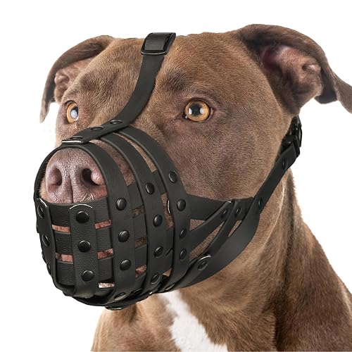 Pitbull Dog Muzzle for Large Medium Dogs Prevent Biting Scavenging
