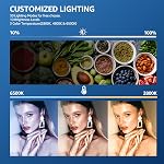 LED Kit d'éclairage de photographie, NiceVeedi 2-Pack 8” Lampe vidéo portable avec support de trépied réglable, 2800K-6500K Lampe Softlight Studio pour Zoom, Streaming de jeu, YouTube