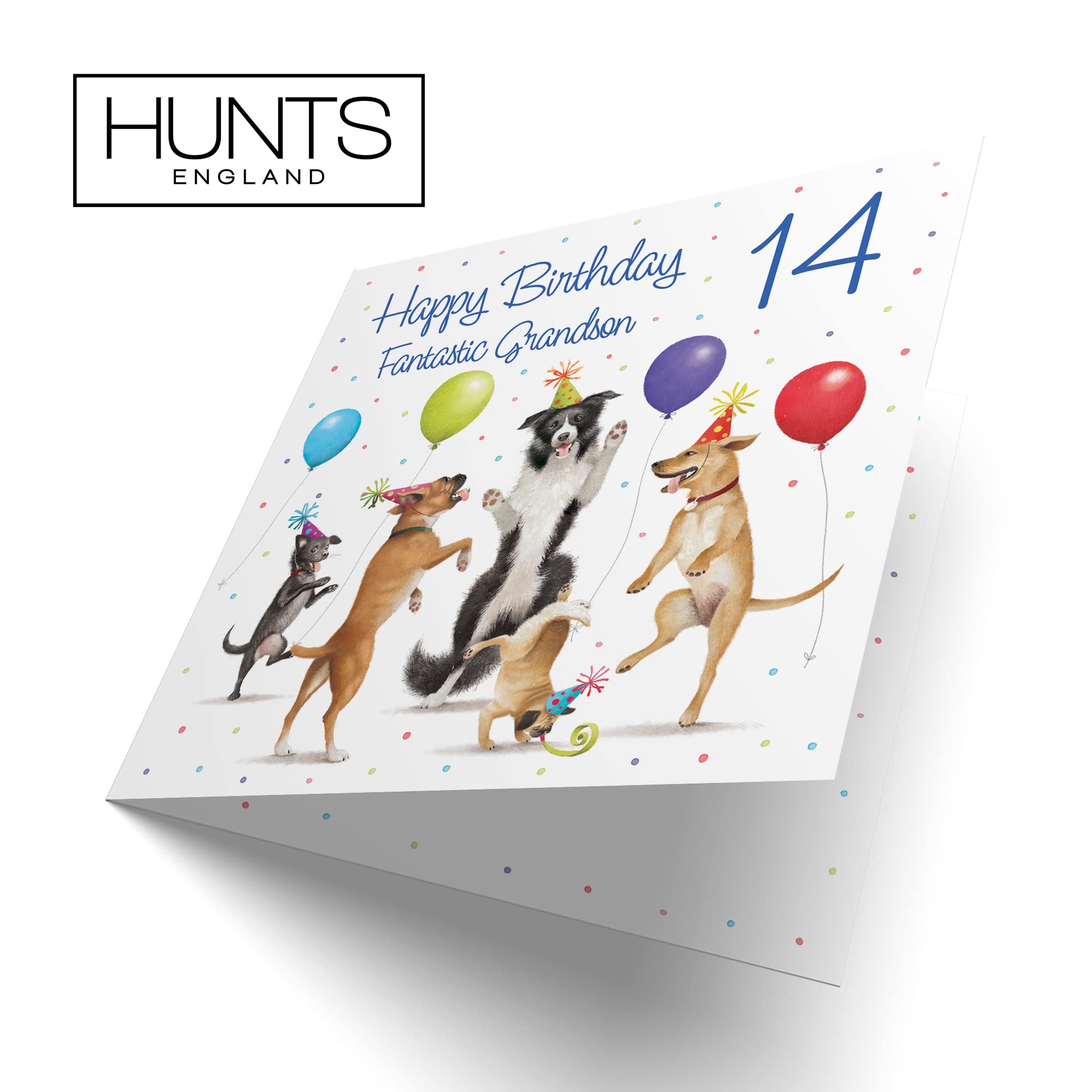 Hunts England - 14th Grandson Birthday Card - Dancing Dogs - Fantastic Grandson - Age 14 - Funny Boy's 14th Birthday Card - Milo's Gallery - Age Fourteen — view 7