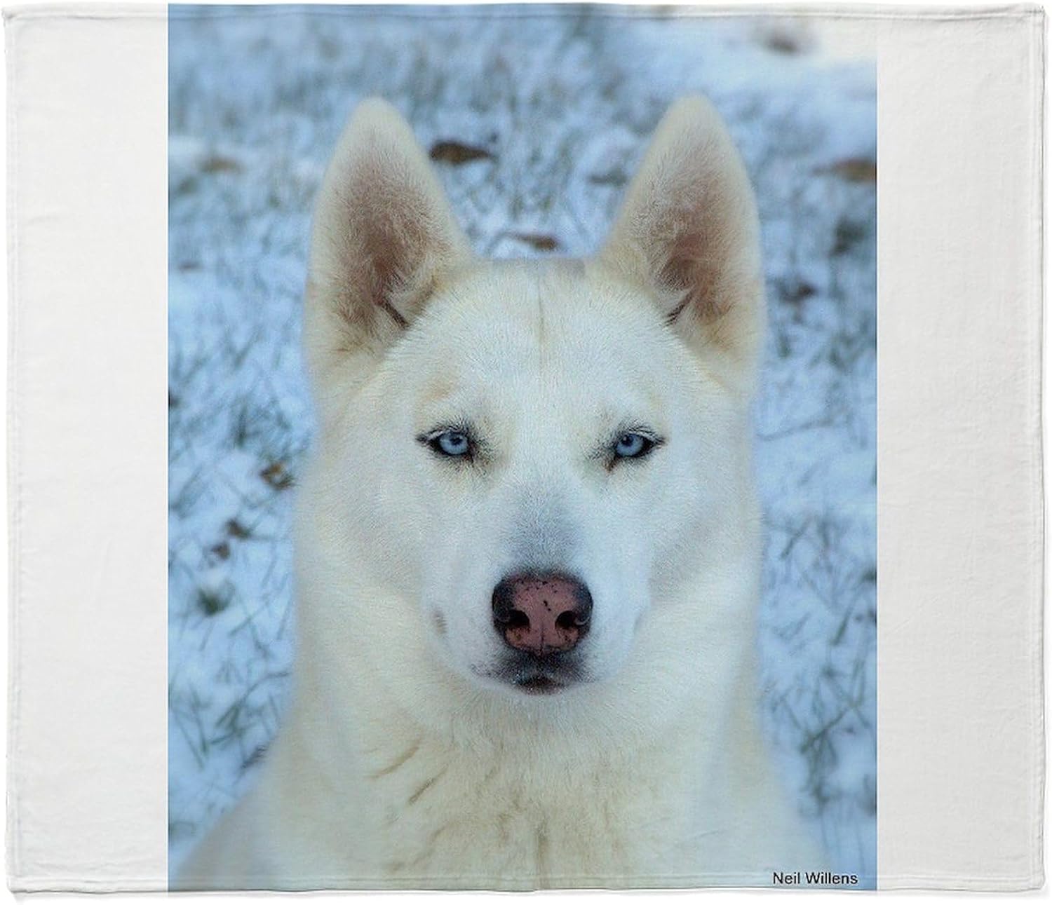 CafePress Siberian Husky Throw Blanket Super Soft Fleece Plush Throw Blanket, 60"x50"