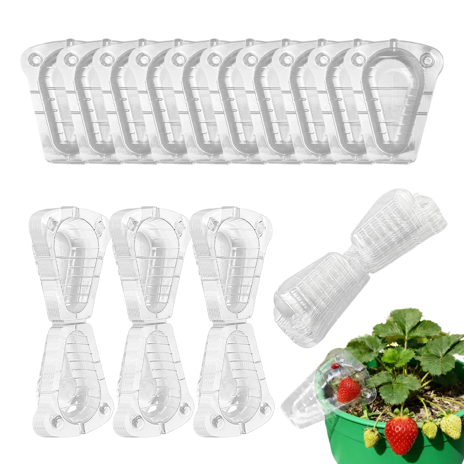 Strawberry Protector - 50-Pieces Transparent Reusable Guard - Strawberry Plant Protector - for Plants Garden Fruit Vegetable Blueberry