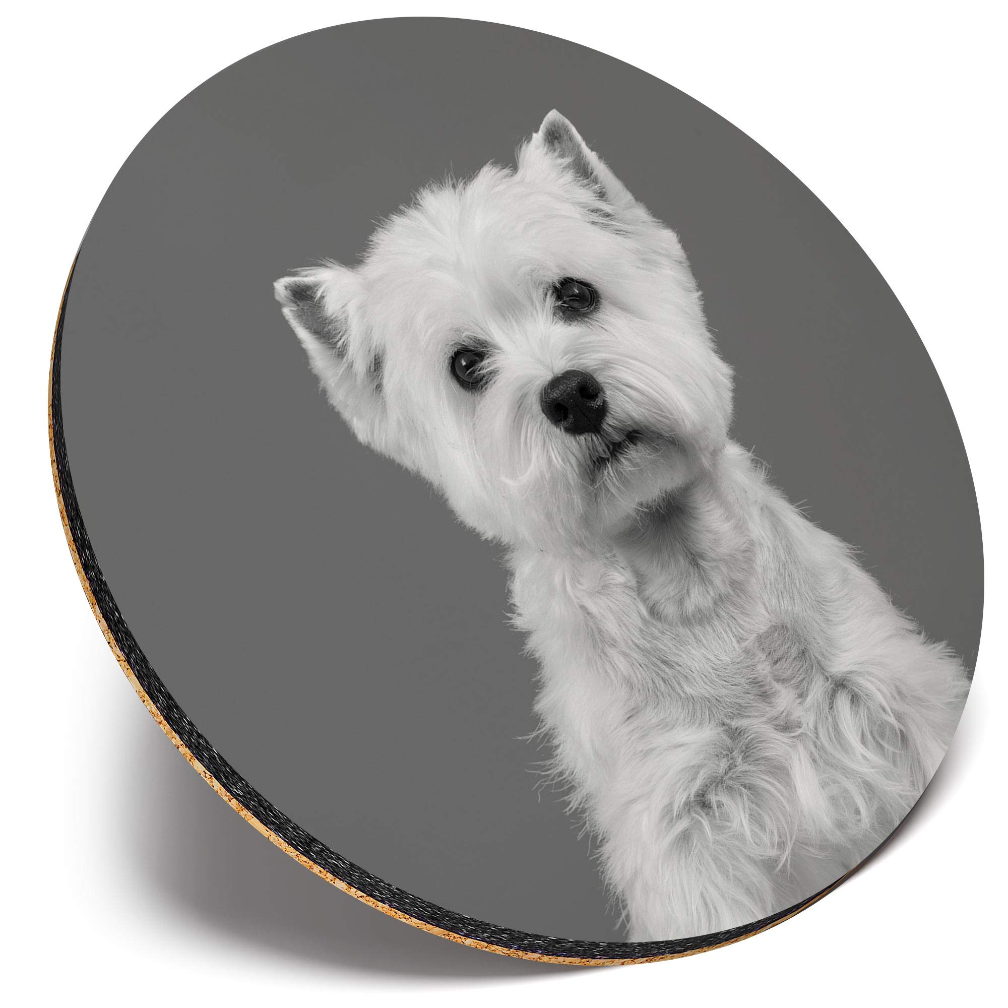 Destination Vinyl Ltd Multicolor Round Single Coaster - Bw - Cute West Highland Terrier Dog Westie |Glossy Quality Coasters | Tabletop Protection For Any Table Type #43758