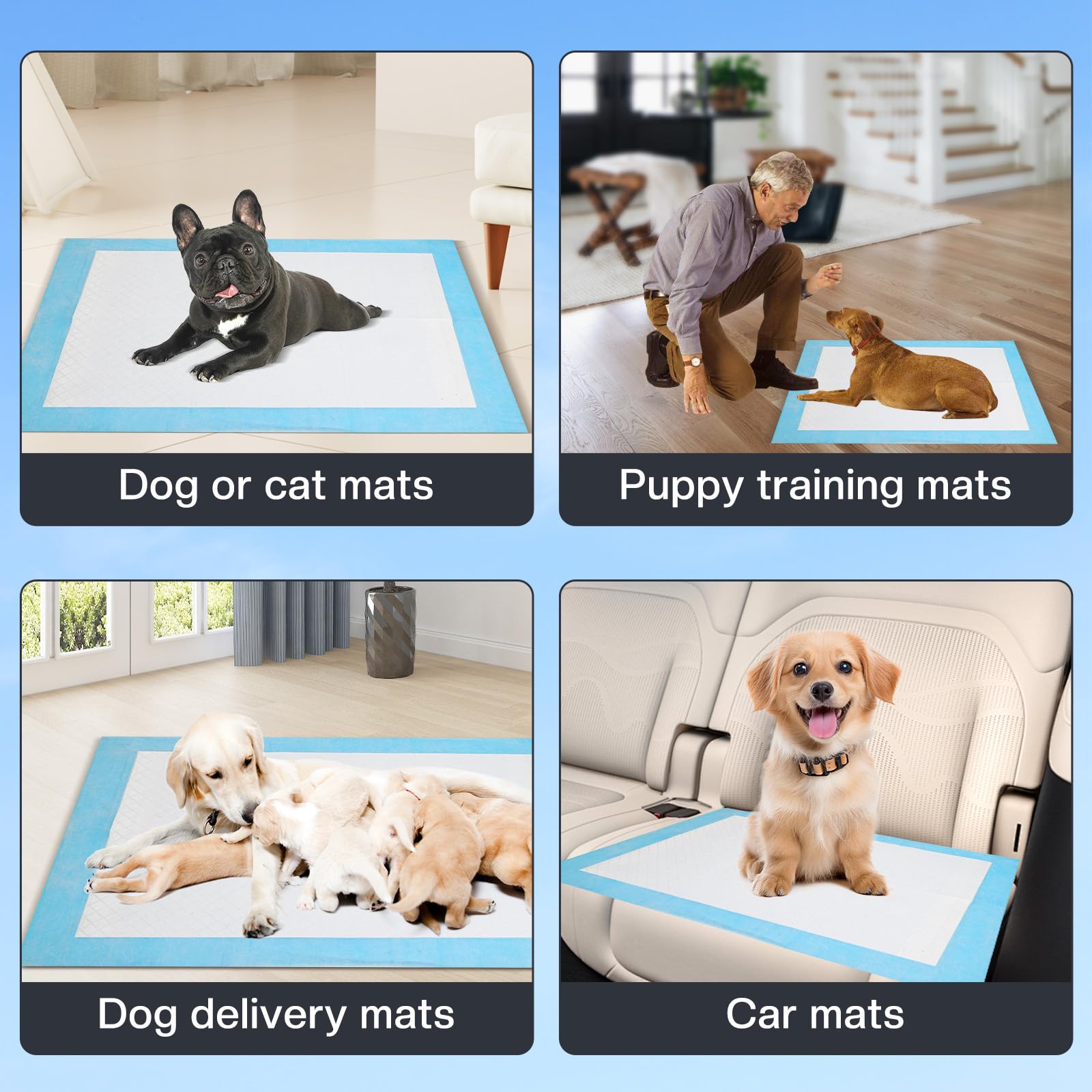 100 Pièces Alaise pour Chien, 60 × 60 cm Aleses Jetables pour Chien, Anti-Fuite et Résistante - Tapis Absorbant Chien, Super Absorbants, Apprentissage de la Propreté