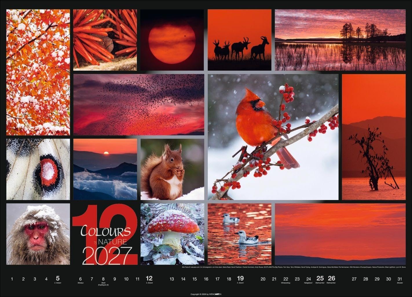 Colours of Nature Kalender 2027: Großer Foto-Wandkalender im Querformat 68 x 49 cm. Natur-Kalender 2027 mit harmonischen Bild- und Farbkompositionen für jeden Monat.