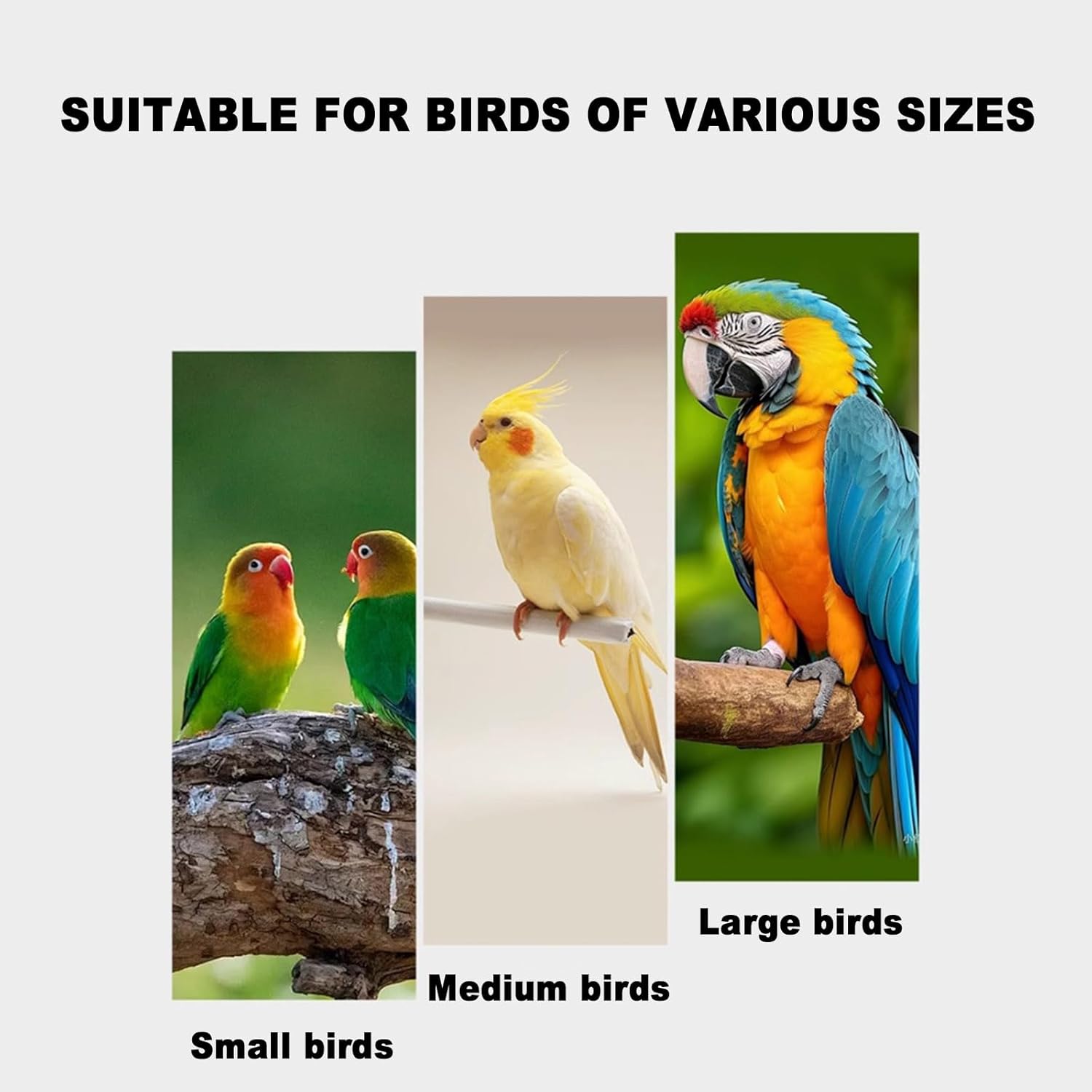 Ground Parrot Stand Bird Play Stand, Large Metal Bird Playstand, Removable Universal Wheels/Chassis, with Universal Wheels and Feeding Bowls, Parrot Supplies