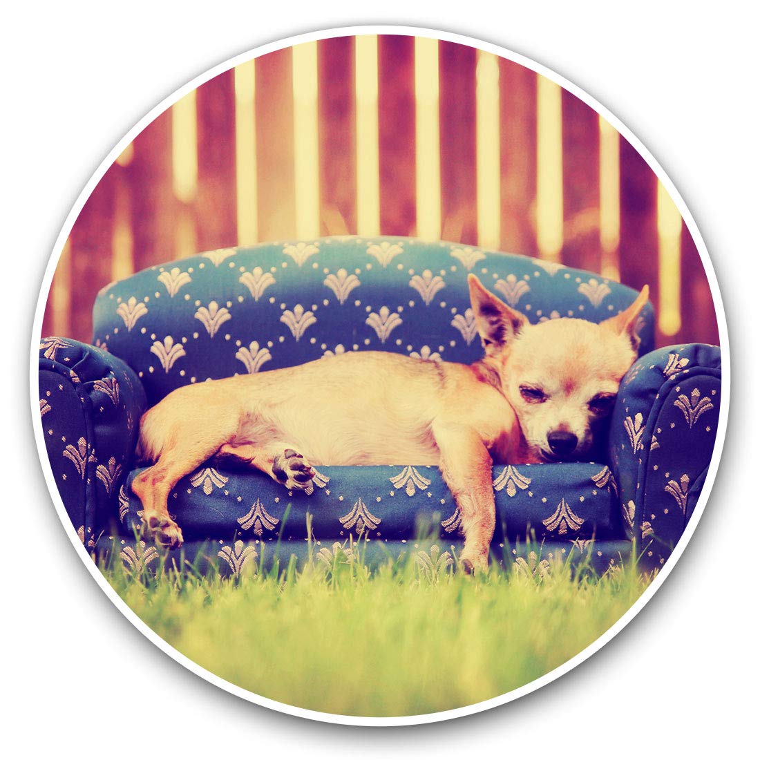 Destination Vinyl Ltd Cute Chihuahua Puppy Dog 8130 Vinyl Stickers (Set Of 2) 7.5Cm - Cute Chihuahua Puppy Dog #8130