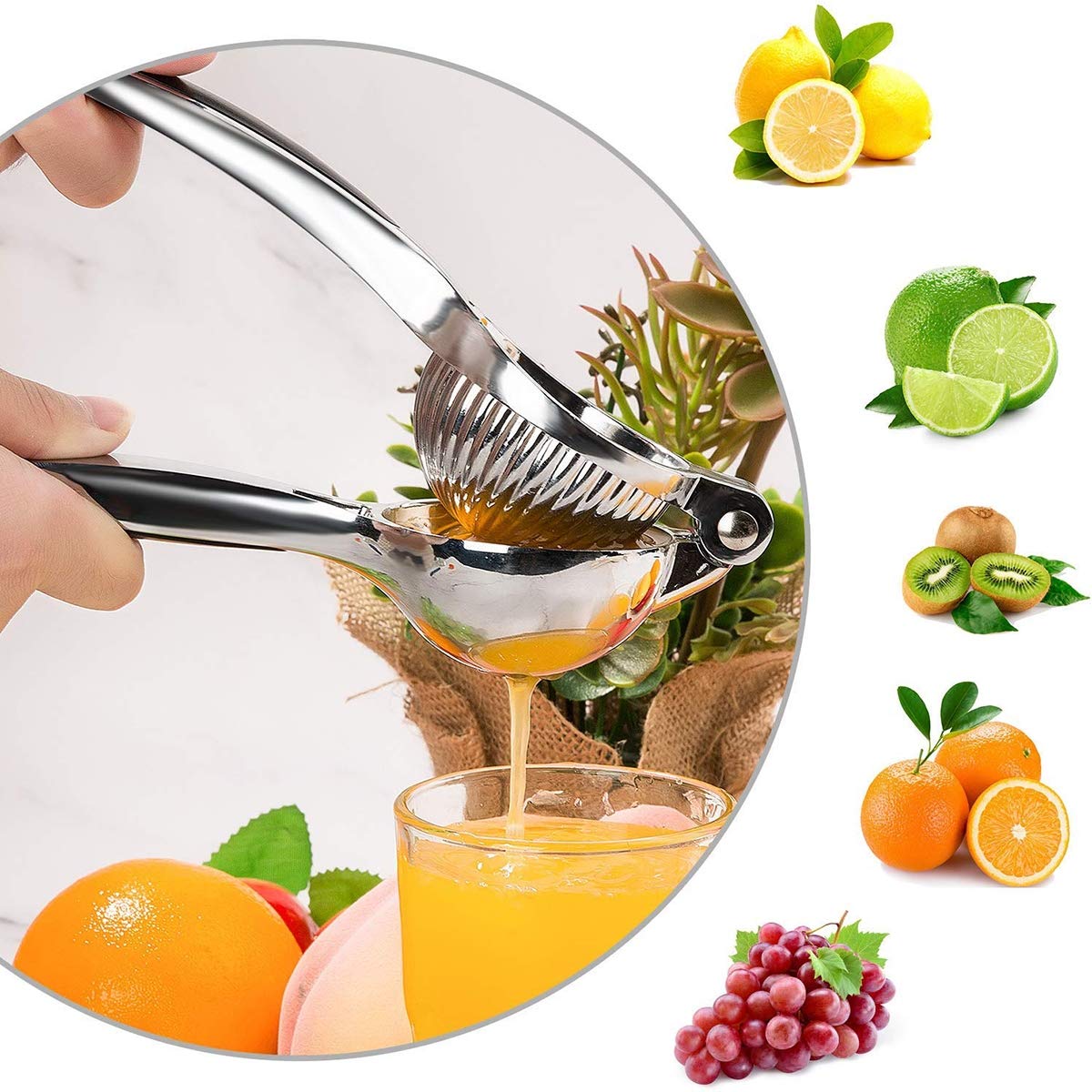 Wyciskacz do cytrusów - wyciskarka do cytrusów, wyciskarka do limonki, solidna konstrukcja, antykorozyjna, uchwyt antypoślizgowy, szybszy, bardziej wydajne wyciskanie soku