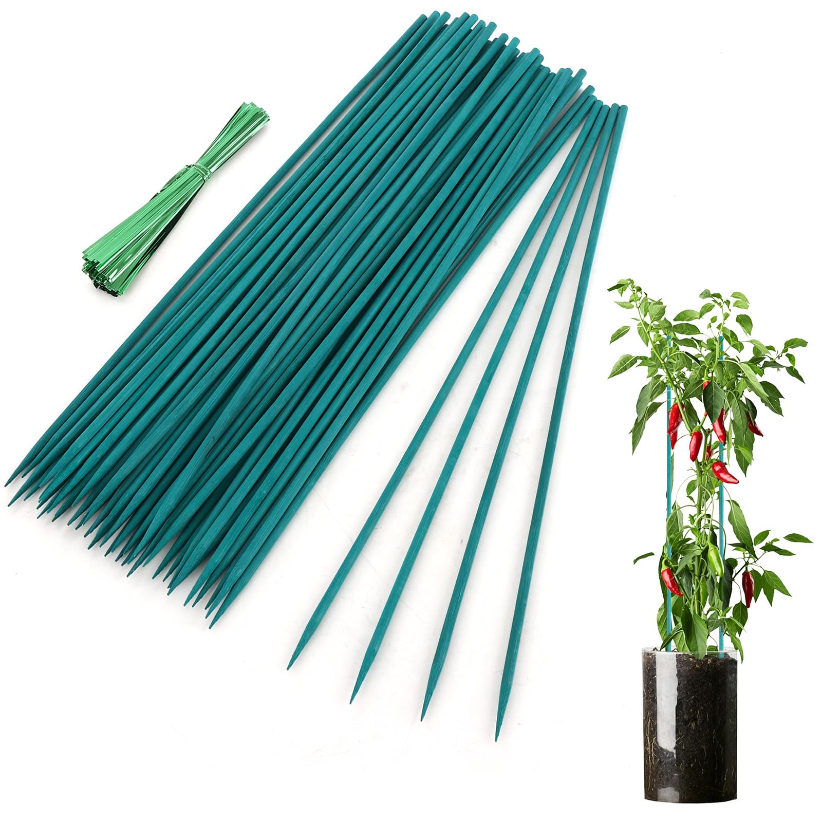 Swylexn 150Pcs Plant Sticks Support, 40cm Plant Stakes Indoor, Plant Green Sticks, Garden Sticks for Plants, Flower Sticks with Twist Ties & Tape, Bamboo Sticks for Garden, Flowers, Floral Plant