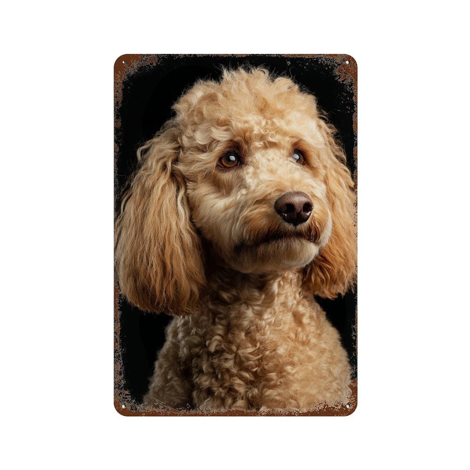 Golden Poodle Dog Breed-1 Vintage Rust Metal Sign 11.8"x7.9", for Garage, Bar And Workshop Decor, Decorative Metal Wall Art